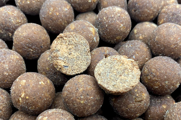 Larva Grub Boilies 🐛